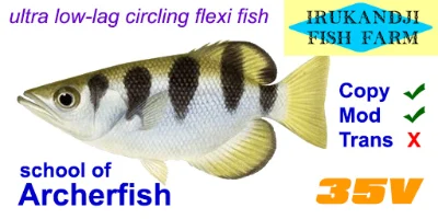 Archerfish