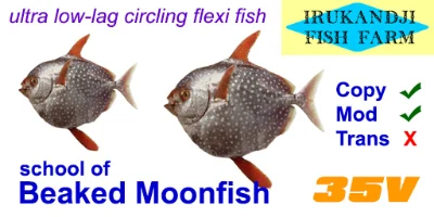 Beaked Moonfish